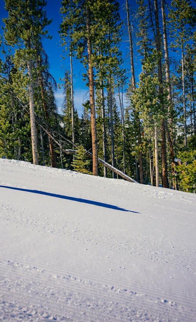 A person riding a snowboard down a snowy slope