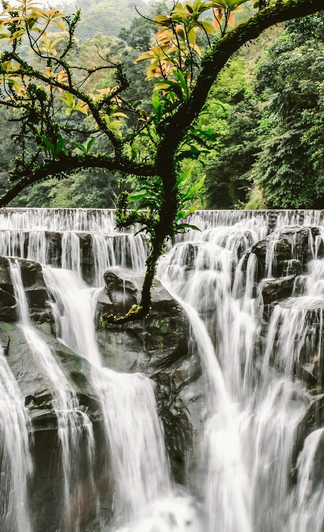 Capture of Shifen Waterfall in Taiwan, surrounded by lush greenery and rocks.