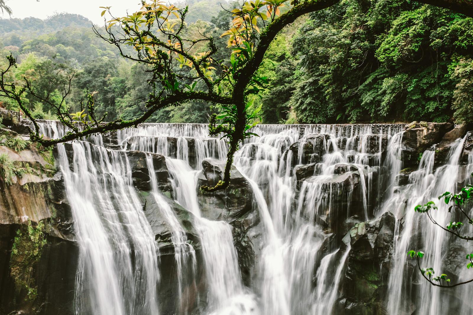 Capture of Shifen Waterfall in Taiwan, surrounded by lush greenery and rocks.