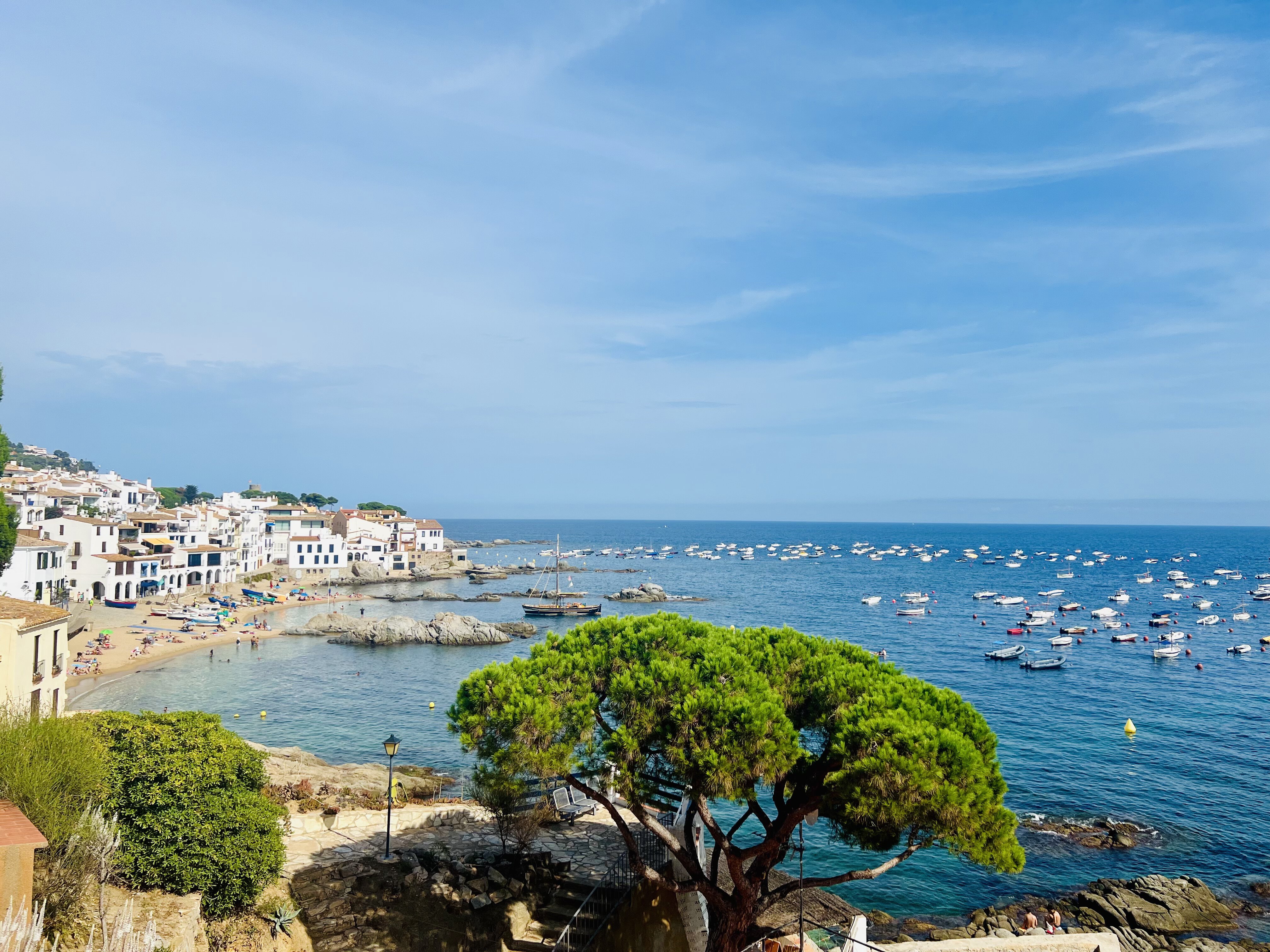 Costa Brava Landscape
