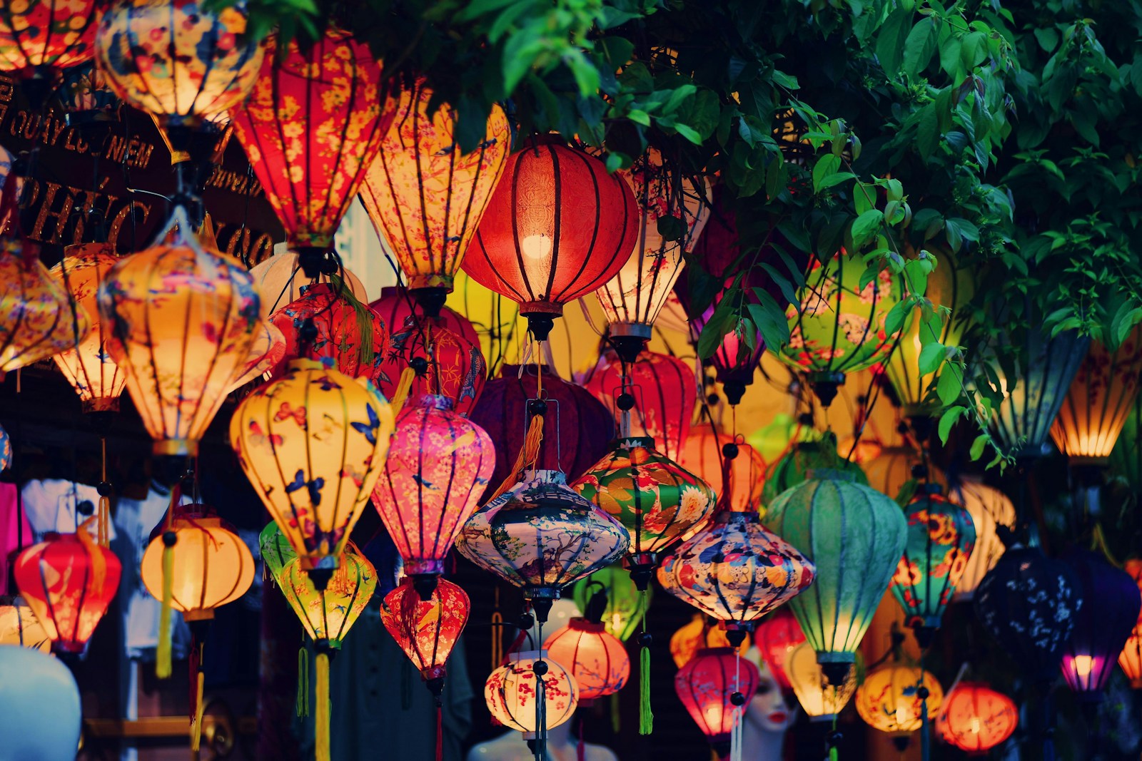 a bunch of lanterns that are hanging from a tree
