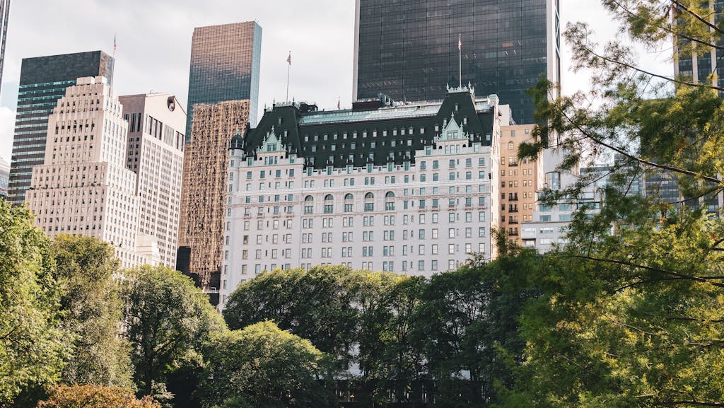 Scenic view of New York City skyline with Central Park trees and skyscrapers under a sunny sky. New York itinerary